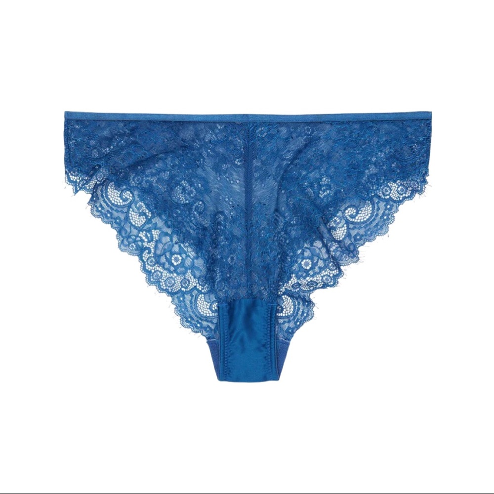 BNWT WOLF & WHISTLE Millie Eyelash Lace Brief Blue size 16